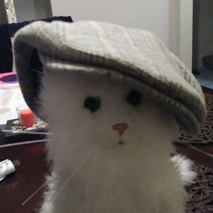 Meet your Posher, Anthony